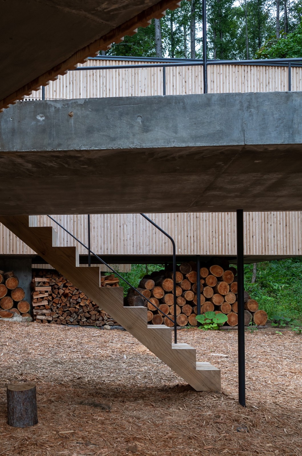 BIM建筑|北海道森林小屋，延伸的“触角” / Florian Busch Architects