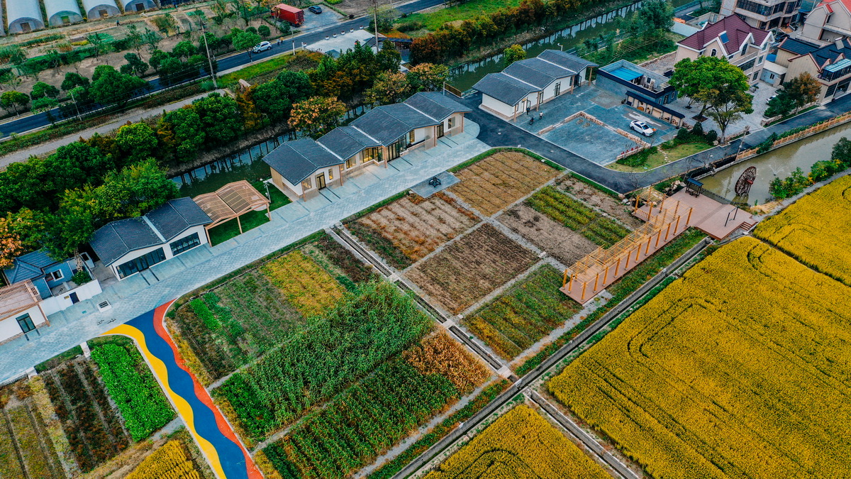 BIM建筑|粮田里的农具仓库改造——花红耕织馆 / 创霖-泽柏