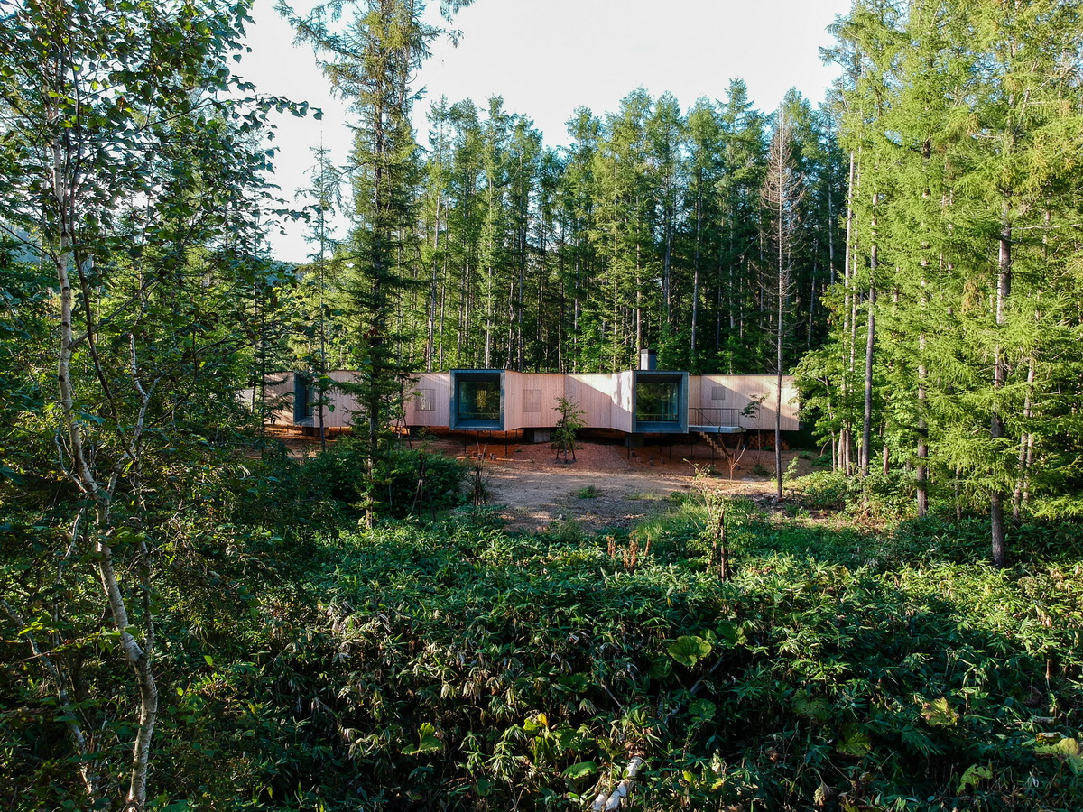 BIM建筑|北海道森林小屋，延伸的“触角” / Florian Busch Architects