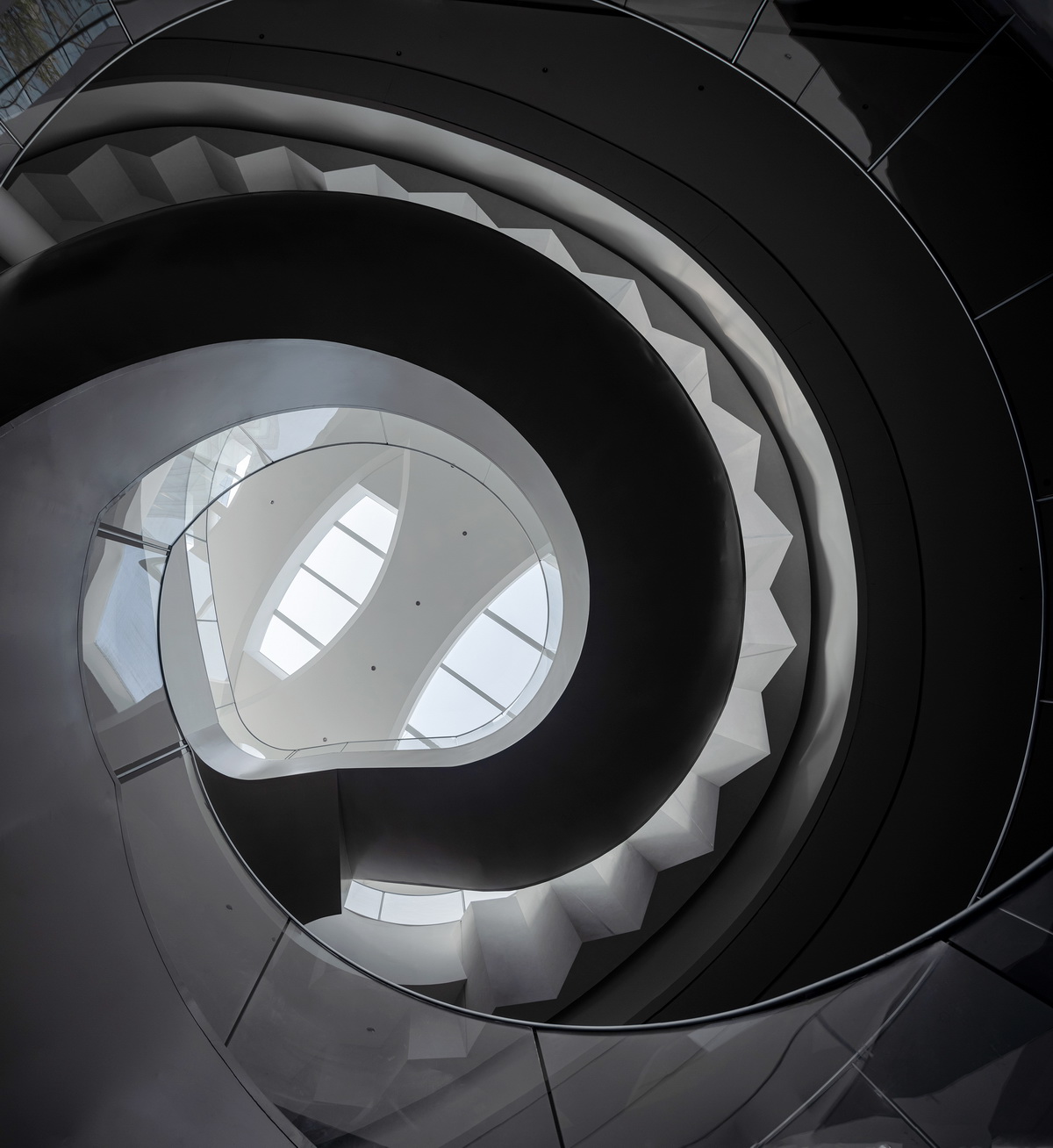 BIM建筑|上海虹桥首个当代艺术馆：一只“机翼”，跳脱于方盒子城市肌理 / 三益设计