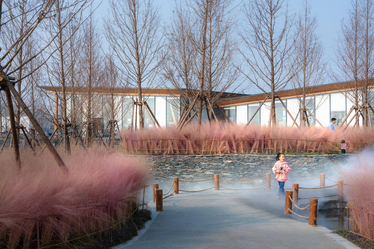 BIM建筑|鄢陵建业君邻大院时光馆 / 成执设计