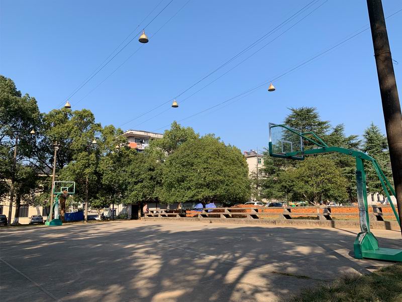 BIM建筑|留住乡愁、链接未来，龙游溪口乡村版未来社区 | 乡伴朱胜萱工作室