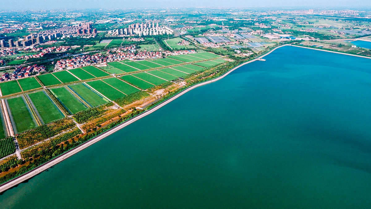 BIM建筑|粮田里的农具仓库改造——花红耕织馆 / 创霖-泽柏