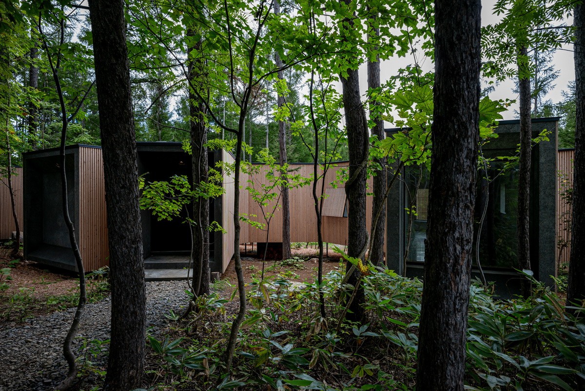BIM建筑|北海道森林小屋，延伸的“触角” / Florian Busch Architects