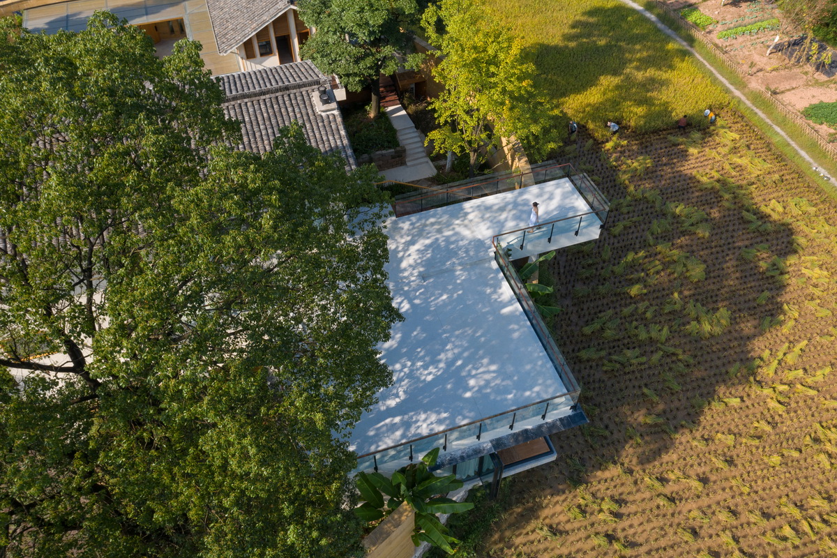 BIM建筑|稻田·树下·椒园 / 重庆悦集建筑设计事务所