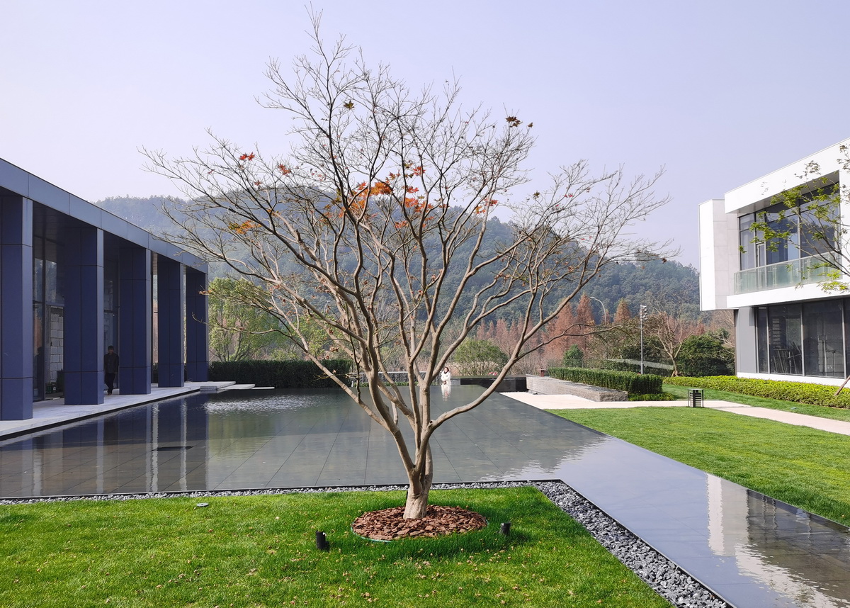 BIM建筑|钱湖02-3C地块项目 / 洪伟工作室