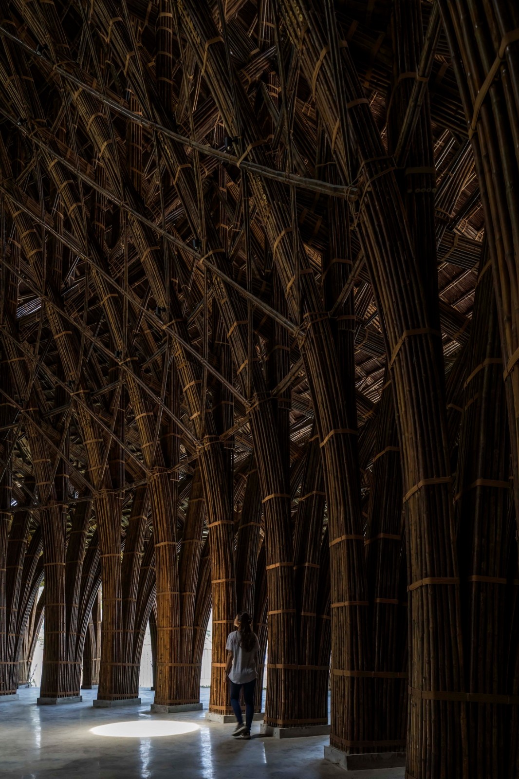 BIM建筑|维达纳受蕴餐厅，模块化竹制架构 / 武重义建筑事务所