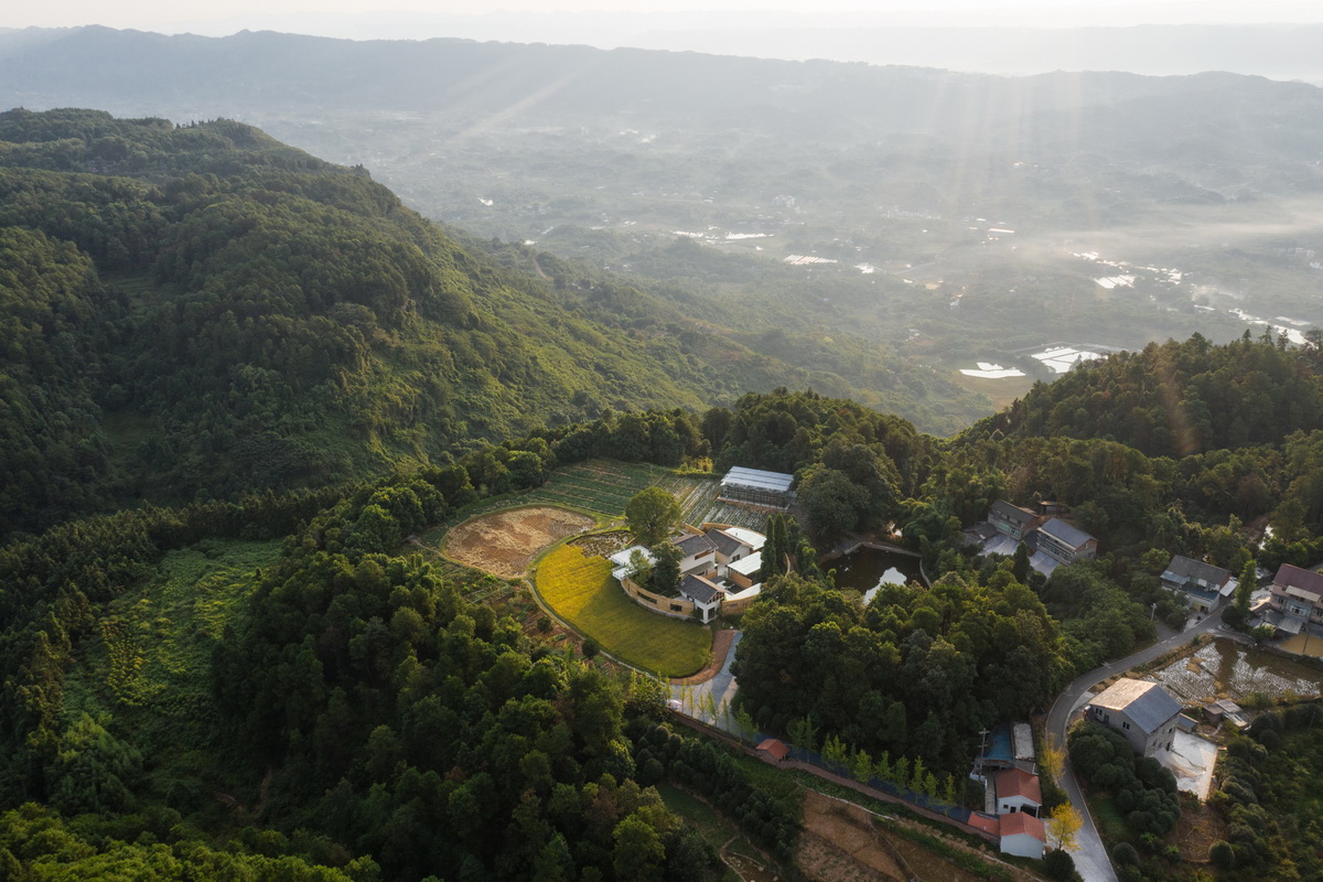 BIM建筑|稻田·树下·椒园 / 重庆悦集建筑设计事务所