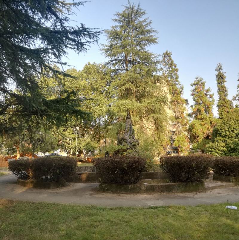 BIM建筑|留住乡愁、链接未来，龙游溪口乡村版未来社区 | 乡伴朱胜萱工作室