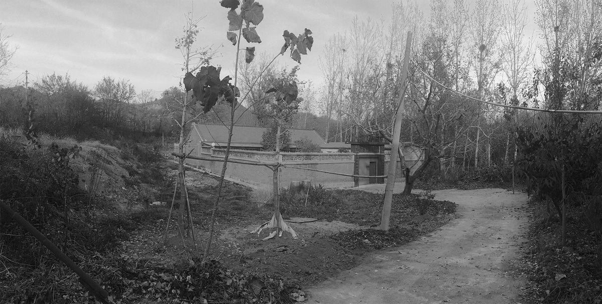 BIM建筑|丘山居 / 原榀建筑