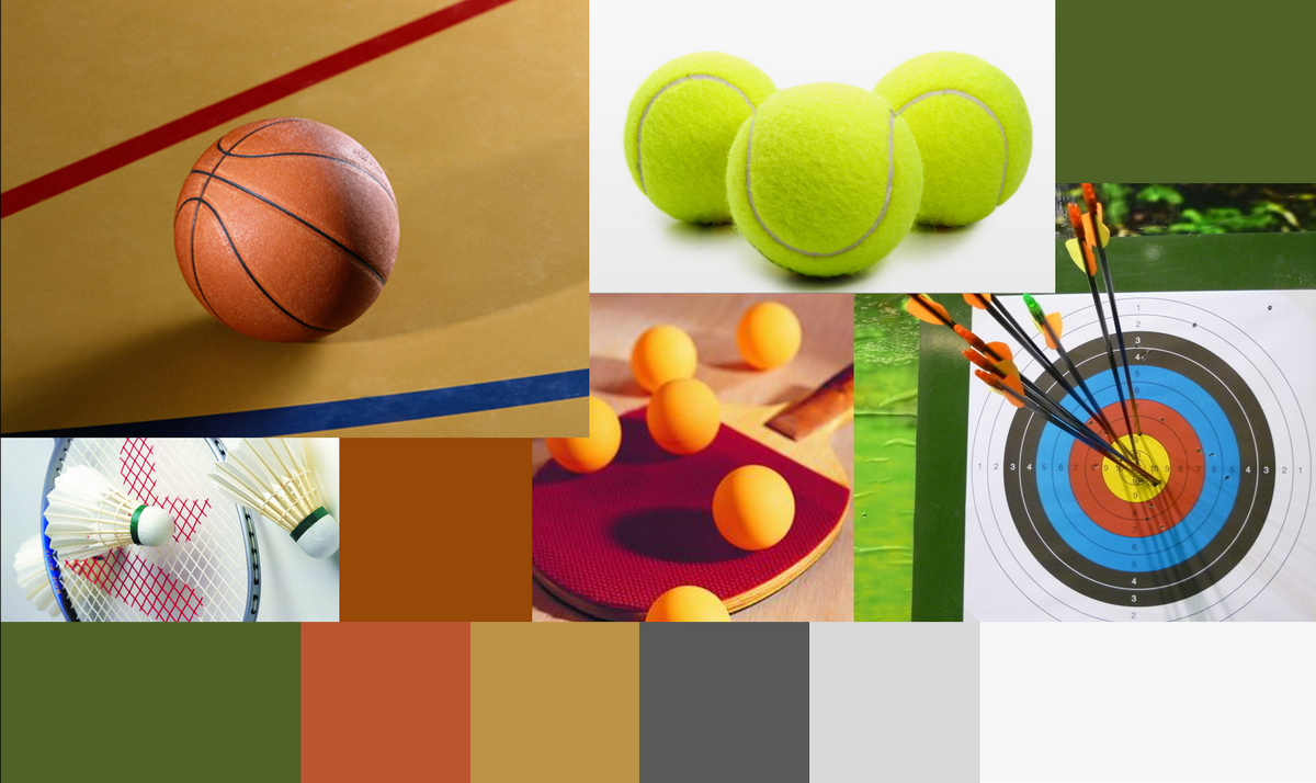 BIM建筑|宁波奥林匹克体育中心：运动空间的色彩美学 / CCDI卝智设计