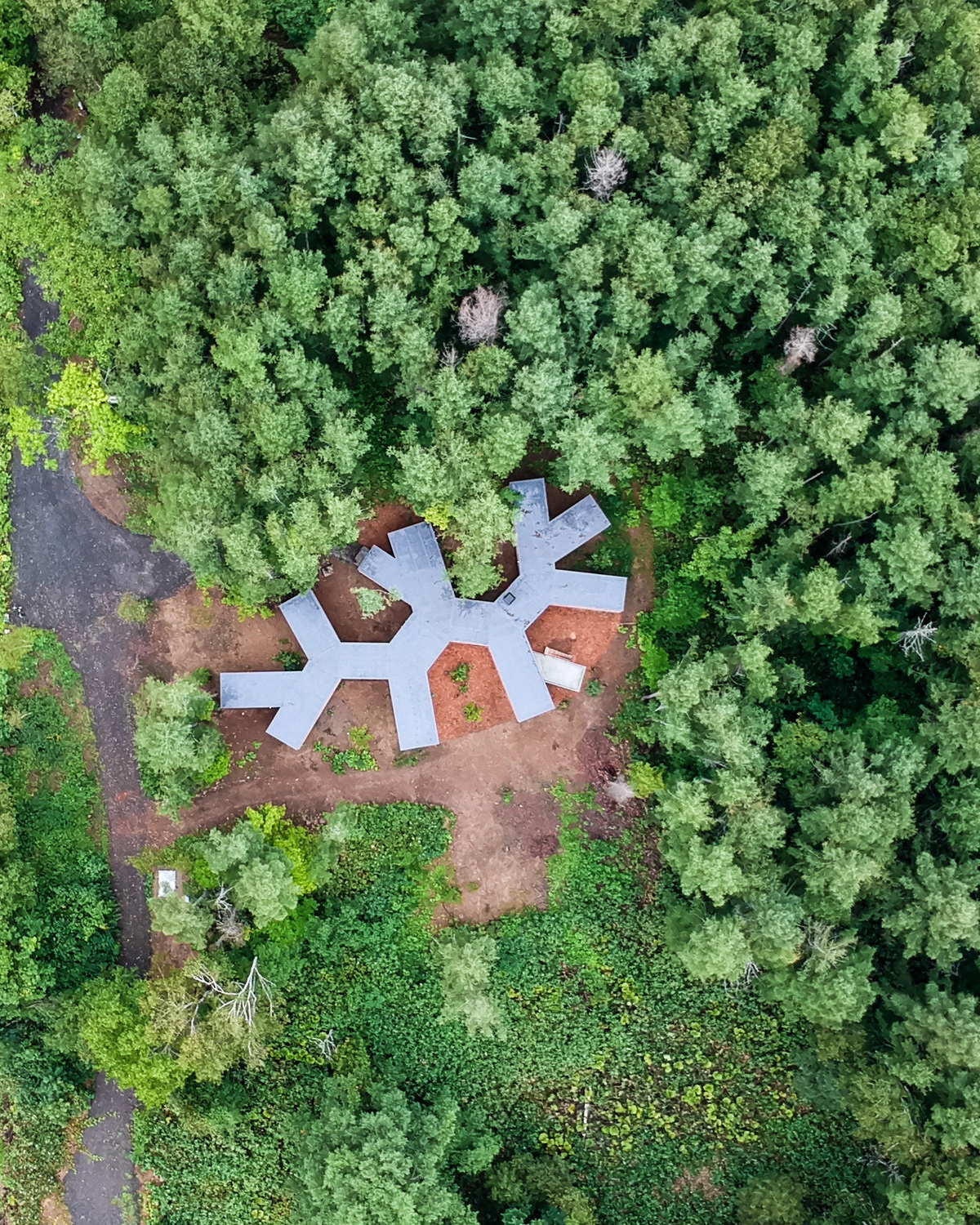 BIM建筑|北海道森林小屋，延伸的“触角” / Florian Busch Architects