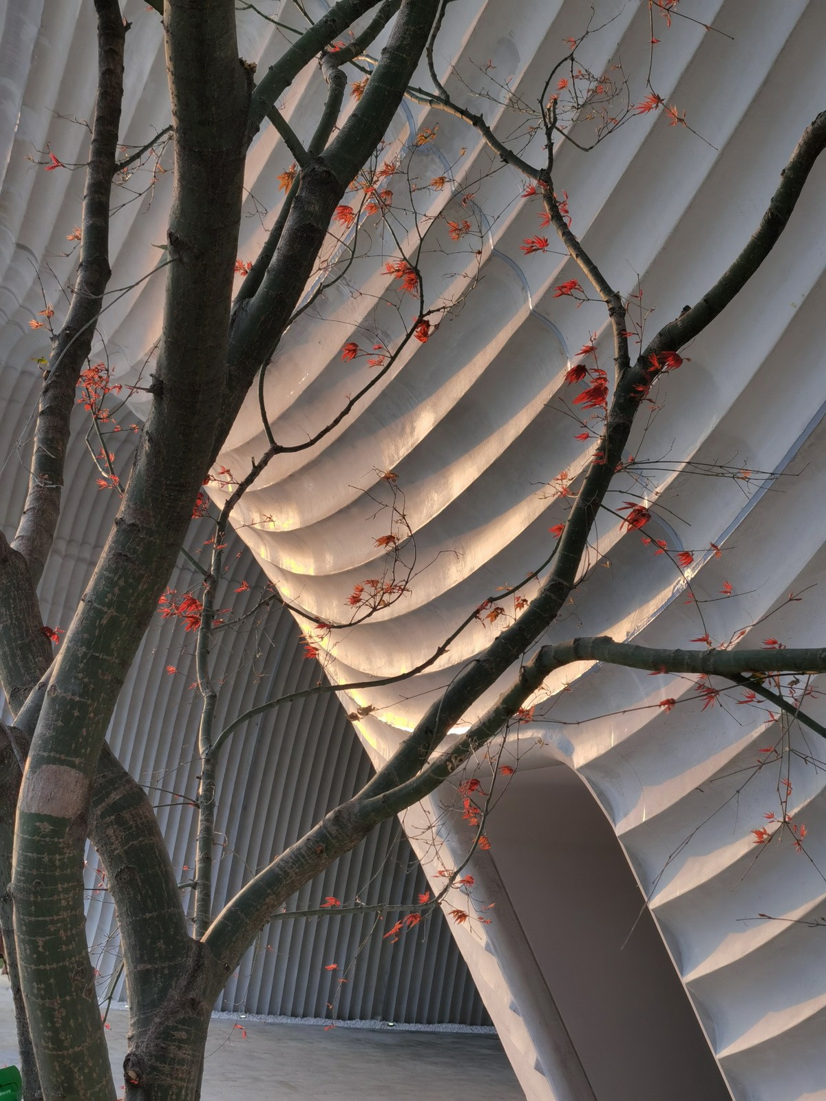 BIM建筑|漂浮之门——西安沣东新城莱安社区中心 / EID Architecture