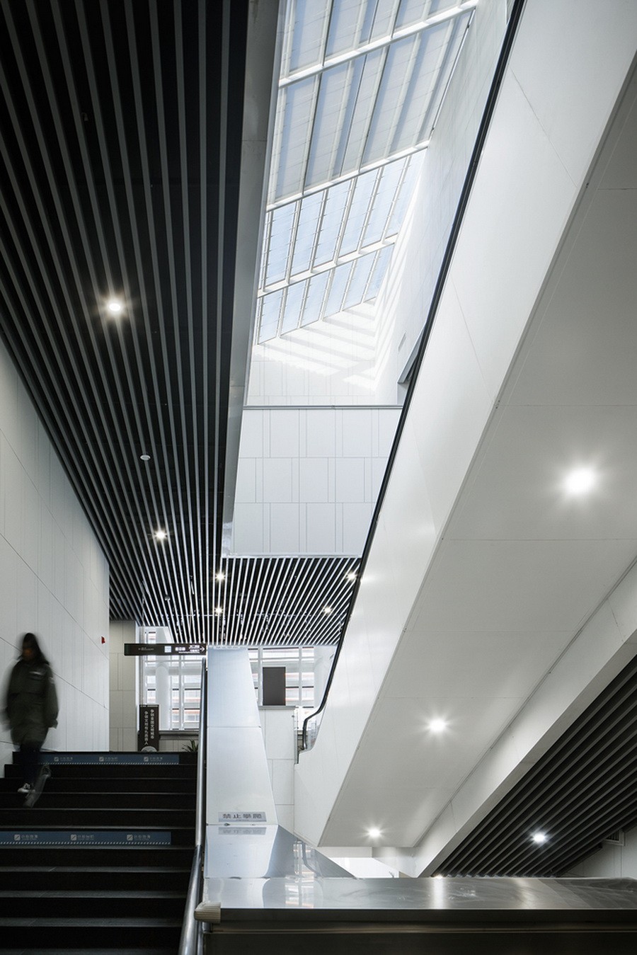 BIM建筑|嘉善博物馆、图书馆 / 浙江大学建筑设计研究院