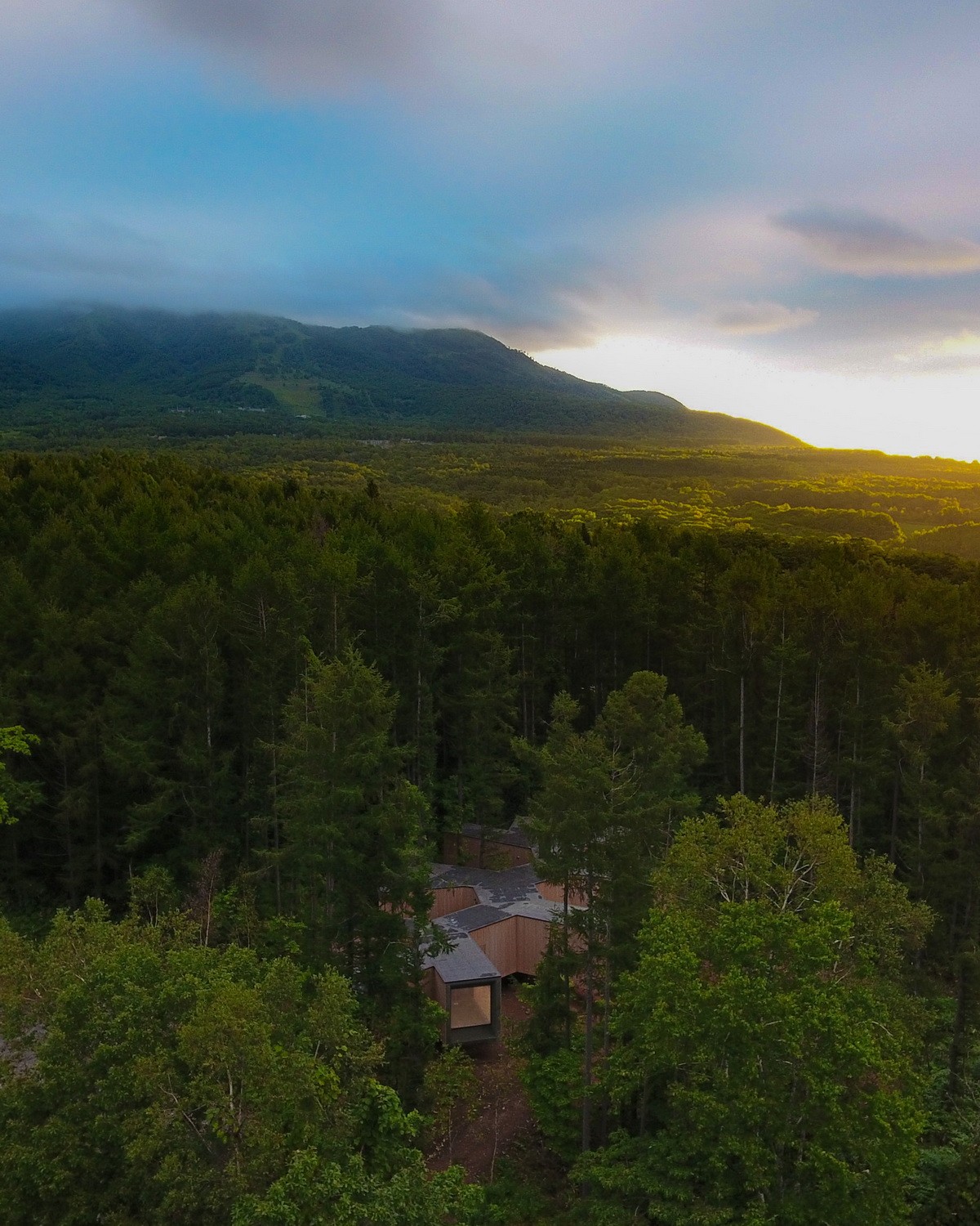 BIM建筑|北海道森林小屋，延伸的“触角” / Florian Busch Architects
