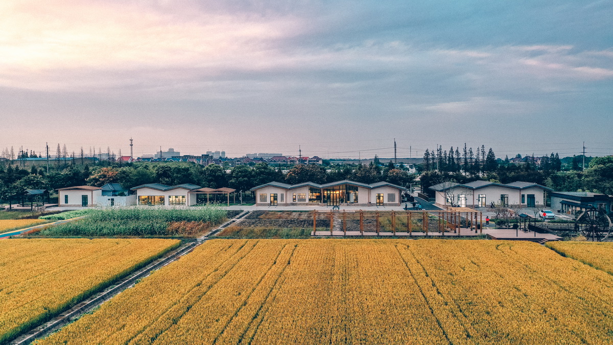 BIM建筑|粮田里的农具仓库改造——花红耕织馆 / 创霖-泽柏