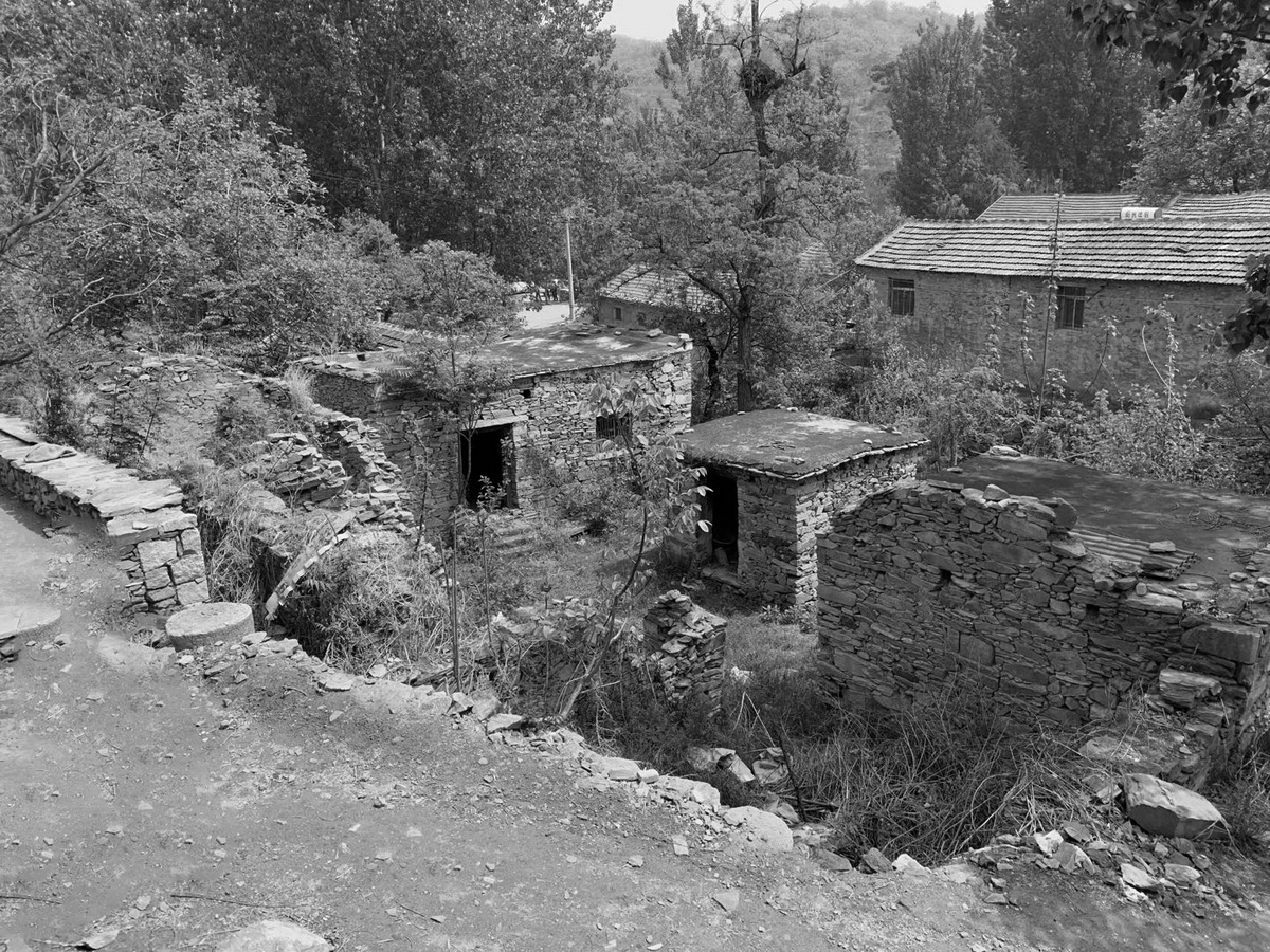 BIM建筑|十二个宅基地的新生：泰安东西门村活化更新 / 孟凡浩-gad · line+ studio