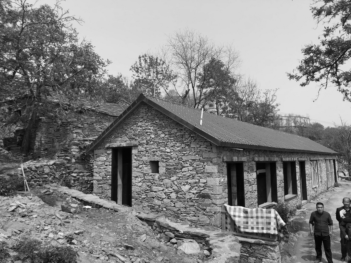 BIM建筑|十二个宅基地的新生：泰安东西门村活化更新 / 孟凡浩-gad · line+ studio