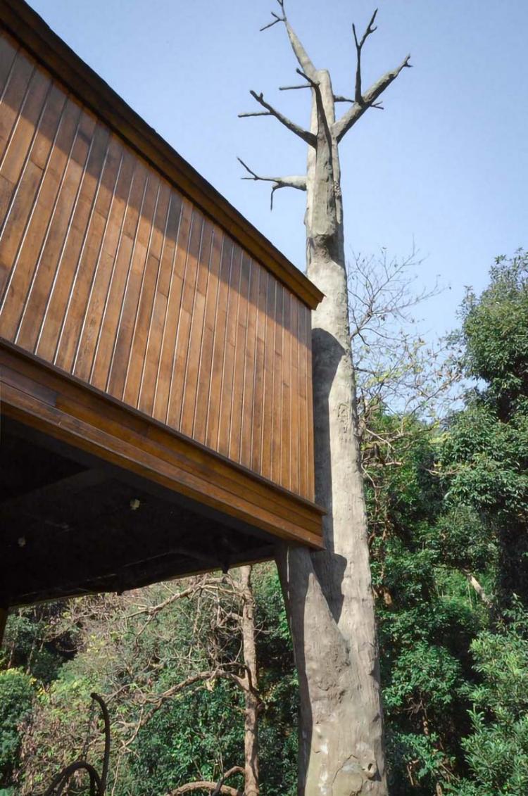 BIM建筑|杭州开元森泊度假酒店“树屋”：簇拥推搡的“小矮人” / 王晖建筑工作室