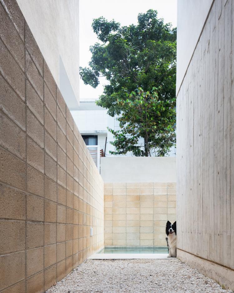 BIM建筑|Risch住宅，墨西哥 / Kiltro Polaris Arquitectura