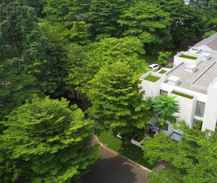 BIM建筑|印尼自然采光实验性住宅 / RAD+ar