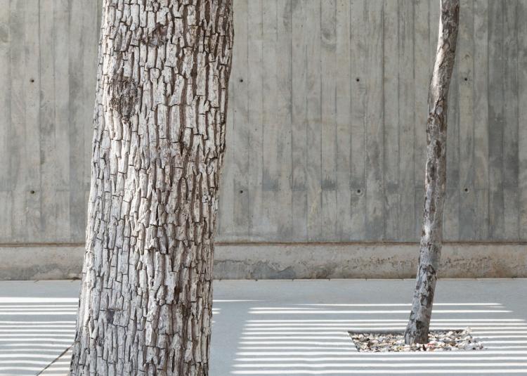 BIM建筑|Risch住宅，墨西哥 / Kiltro Polaris Arquitectura