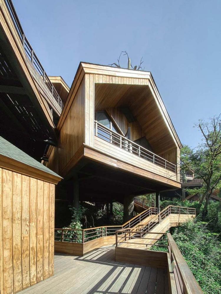 BIM建筑|杭州开元森泊度假酒店“树屋”：簇拥推搡的“小矮人” / 王晖建筑工作室