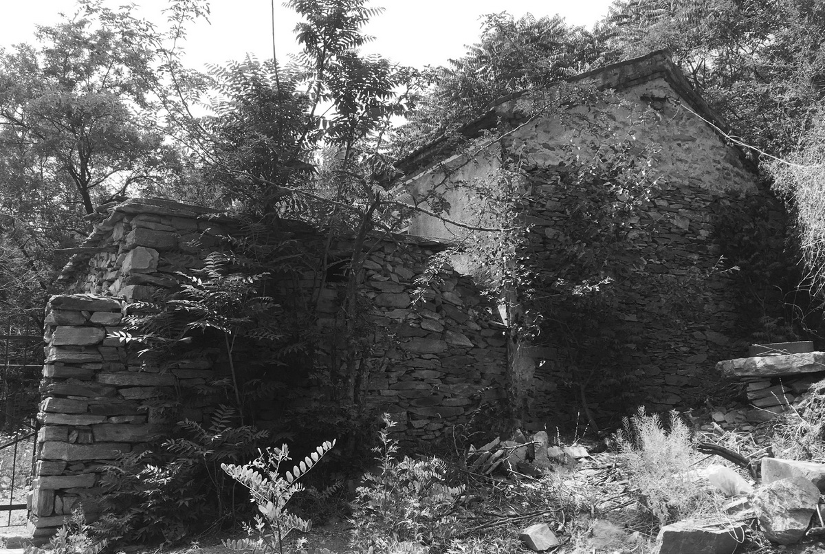 BIM建筑|十二个宅基地的新生：泰安东西门村活化更新 / 孟凡浩-gad · line+ studio