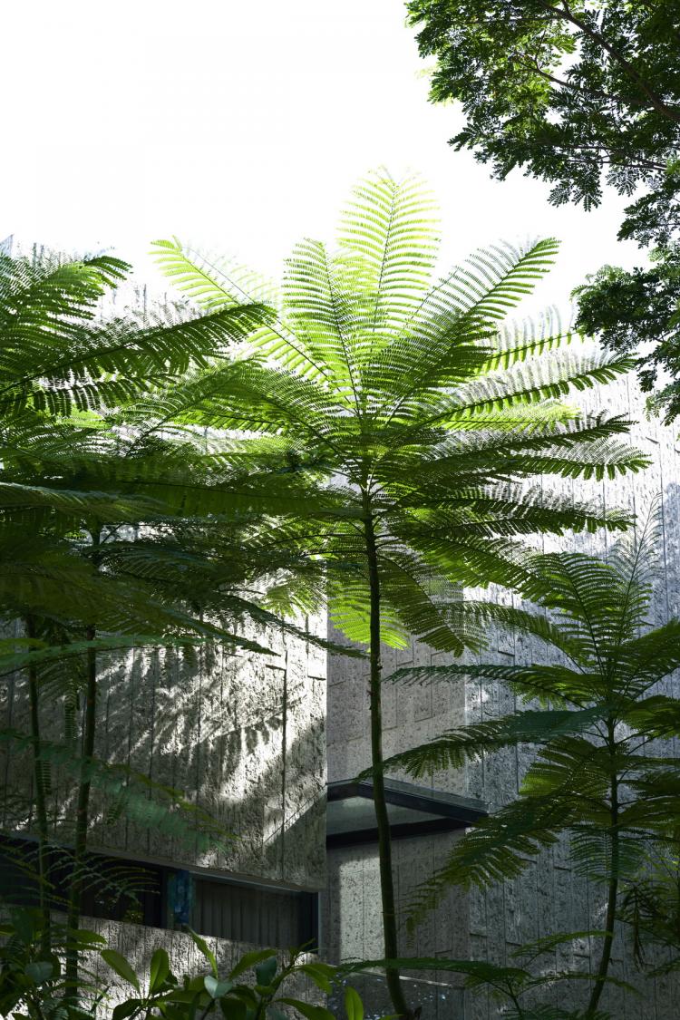 BIM建筑|印尼自然采光实验性住宅 / RAD+ar