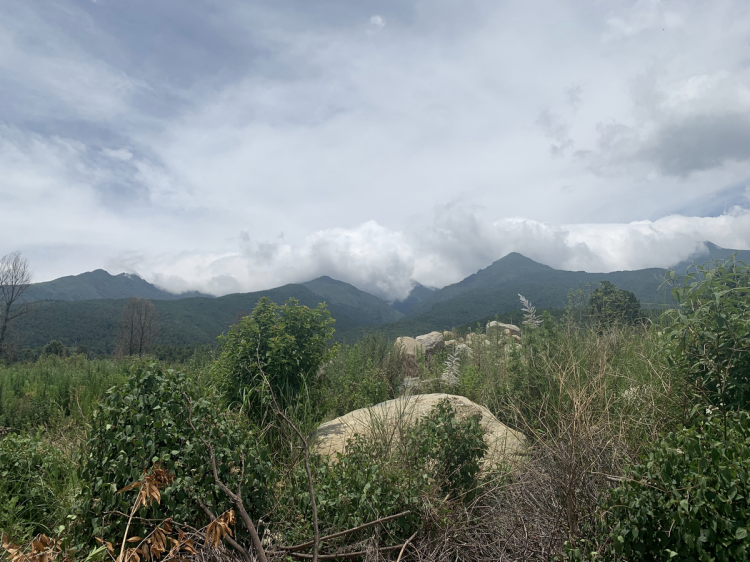 BIM建筑|大理的小院子中区生活体验中心景观设计 / MANG漫格景观