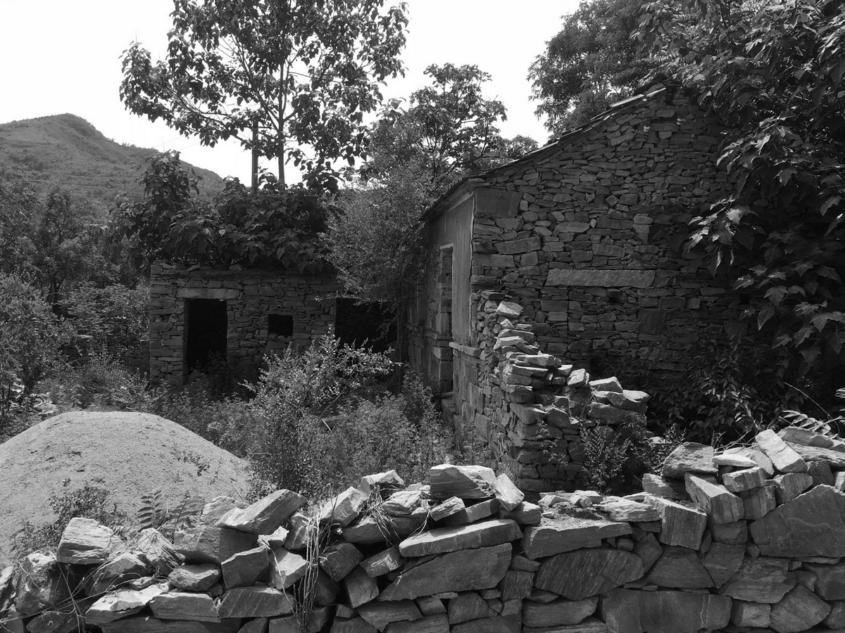 BIM建筑|十二个宅基地的新生：泰安东西门村活化更新 / 孟凡浩-gad · line+ studio