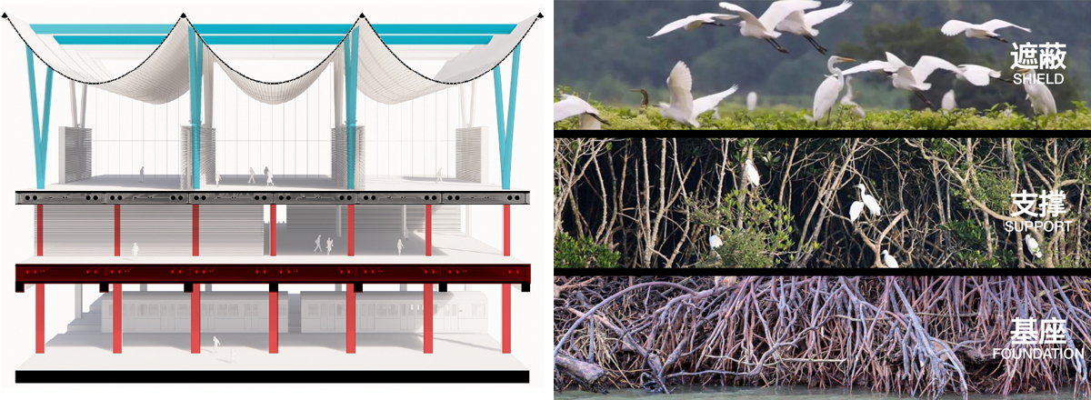 BIM建筑|深圳红树林湿地博物馆竞赛入围方案 / 局内建筑+普罗建筑+柏涛景观