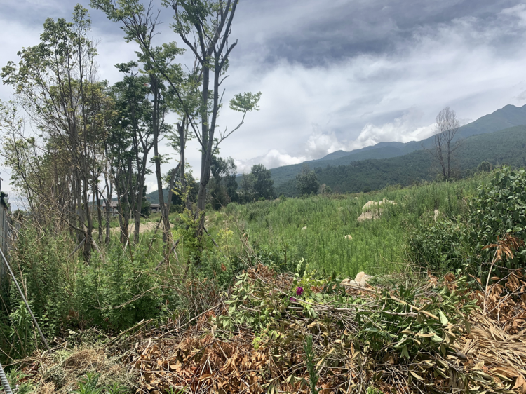 BIM建筑|大理的小院子中区生活体验中心景观设计 / MANG漫格景观