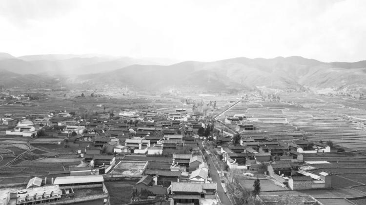 BIM建筑|优质竞赛作品解读 | 希望打造一栋建筑，用来听风听雨晒太阳