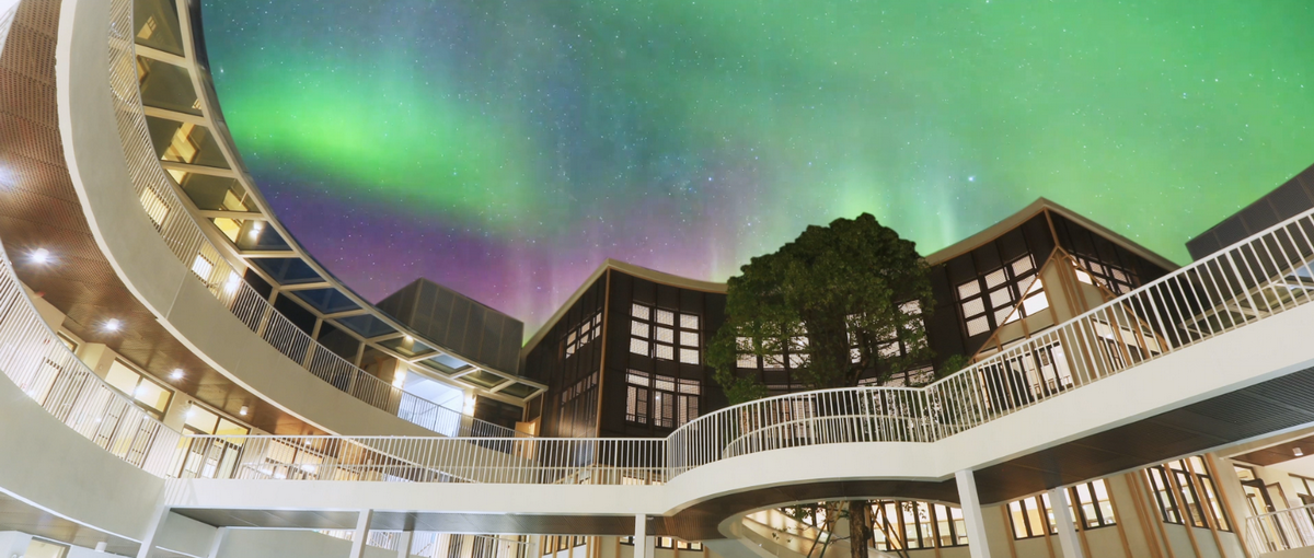 BIM建筑|圣果（誉山国际）幼儿园 / 迪卡幼儿园设计中心