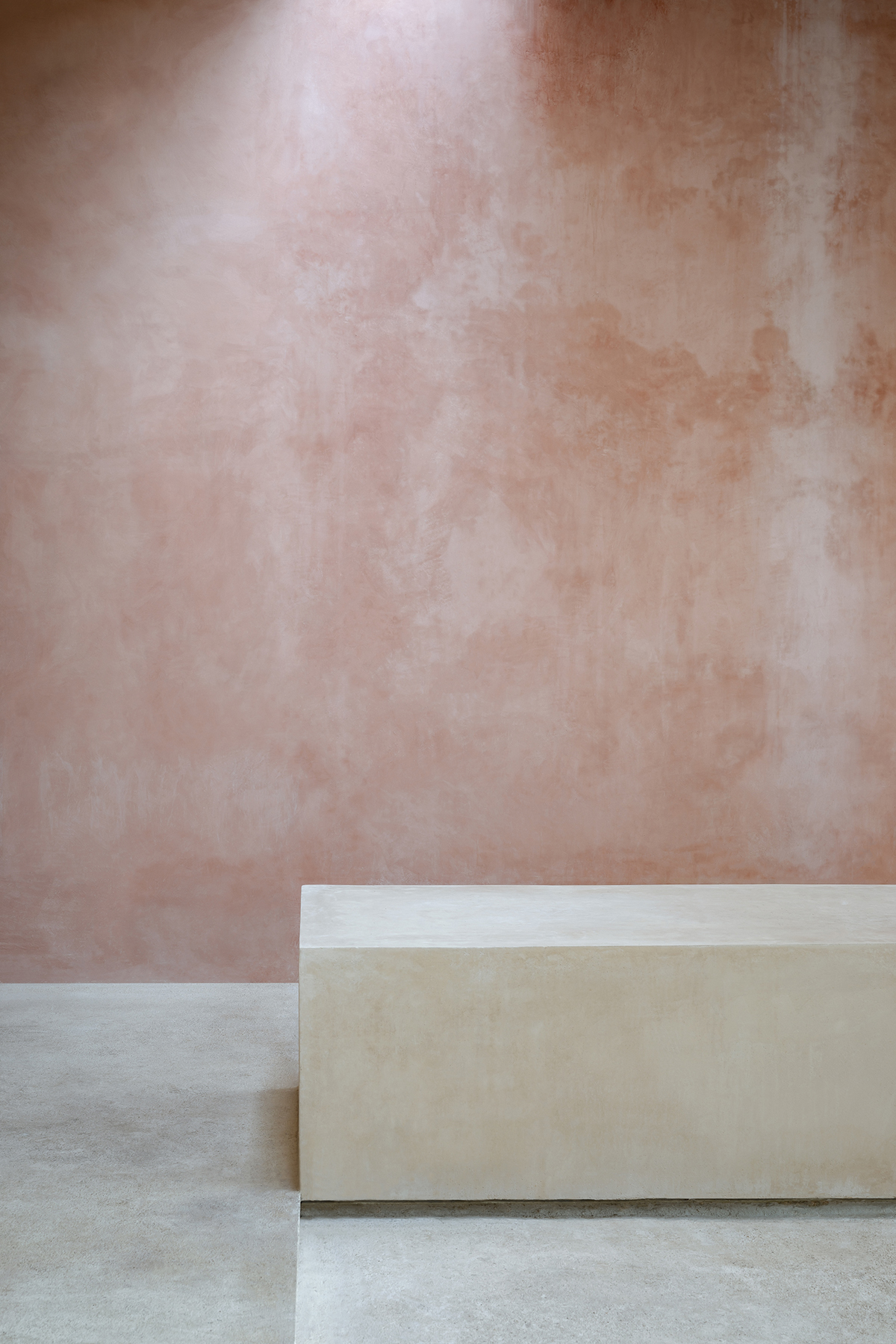 BIM建筑|佩斯卡多尔14号住宅，墨西哥 / Franca AdC