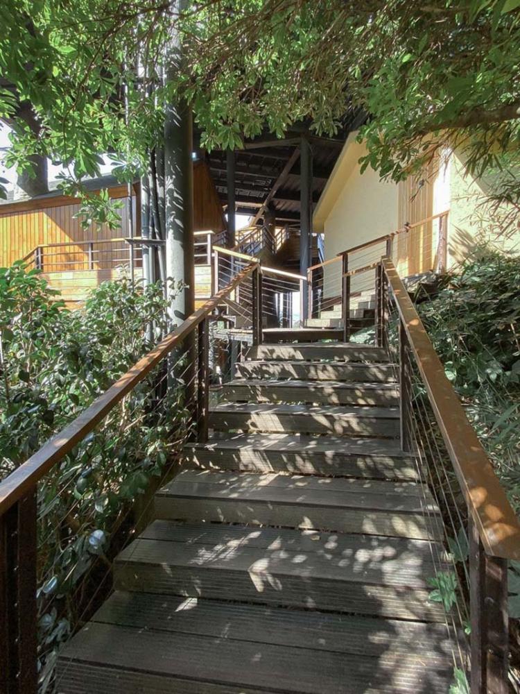 BIM建筑|杭州开元森泊度假酒店“树屋”：簇拥推搡的“小矮人” / 王晖建筑工作室