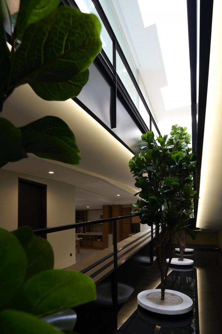 BIM建筑|印尼自然采光实验性住宅 / RAD+ar