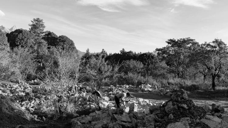 BIM建筑|Hylla落云自然体验中心：模糊的边界 / gad