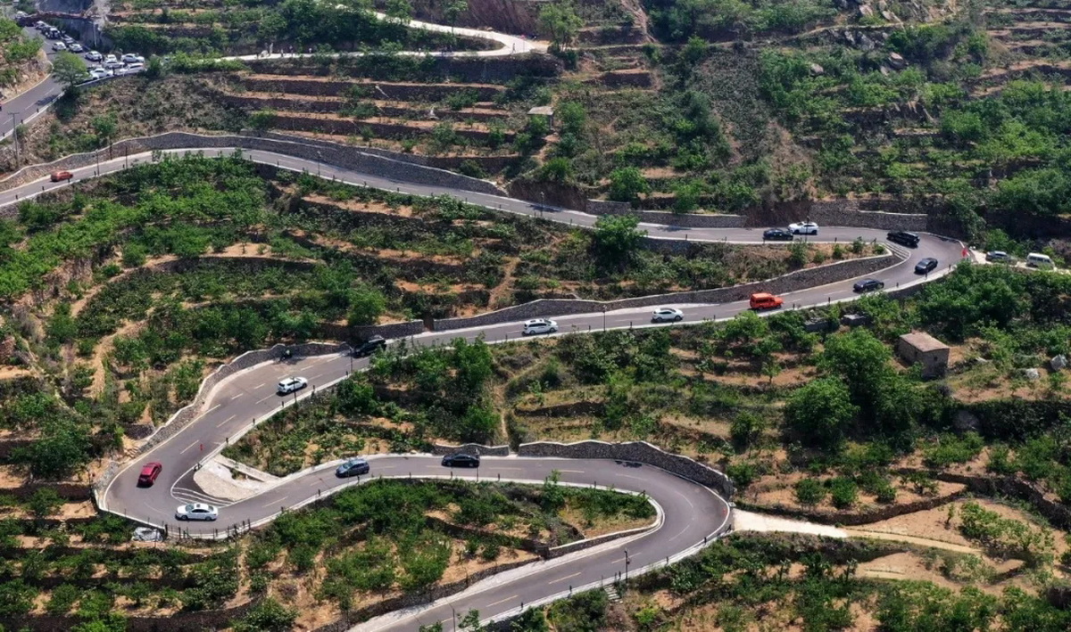 BIM建筑|十二个宅基地的新生：泰安东西门村活化更新 / 孟凡浩-gad · line+ studio