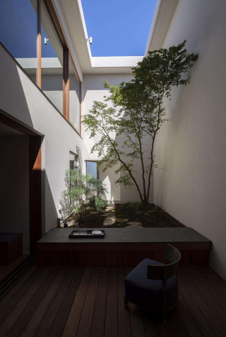 BIM建筑|东京天空洞穴住宅：静谧的自然居所 / IKAWAYA Architects