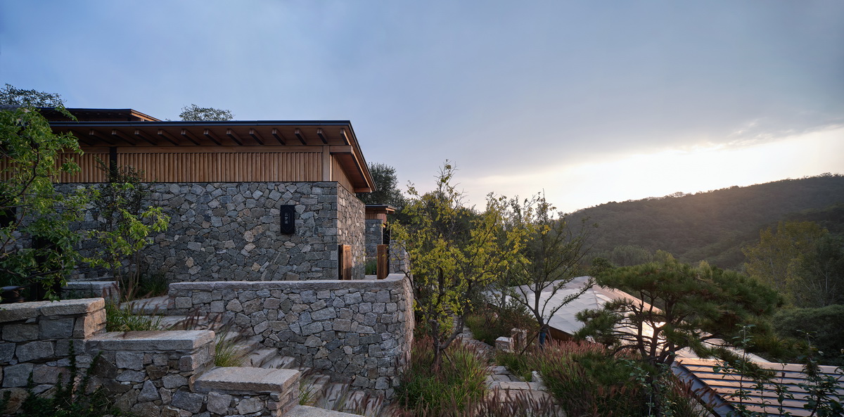 BIM建筑|十二个宅基地的新生：泰安东西门村活化更新 / 孟凡浩-gad · line+ studio