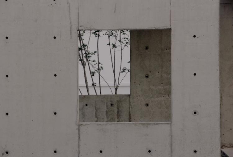 BIM建筑|永智农场&户粒咖啡二期 / 十一空间设计