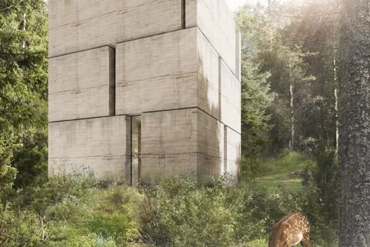 BIM建筑|森林住宅，如巨石般厚重 / Marte Marte Architects