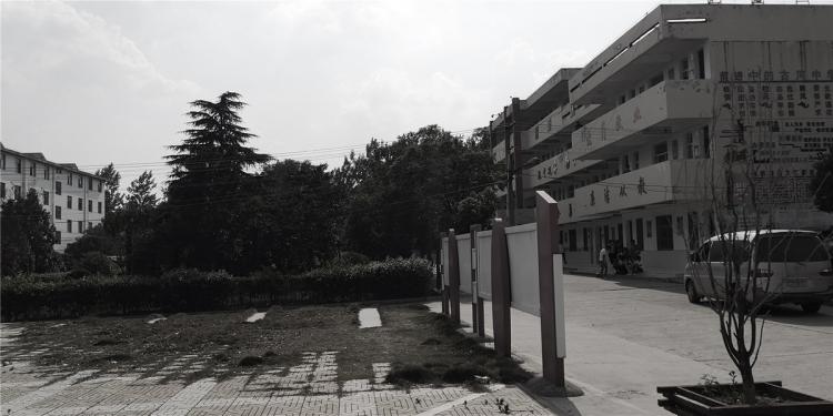 BIM建筑|乡村振兴之乡镇中学改造-全椒县新锐古河中学 / 上海思序建筑规划设计