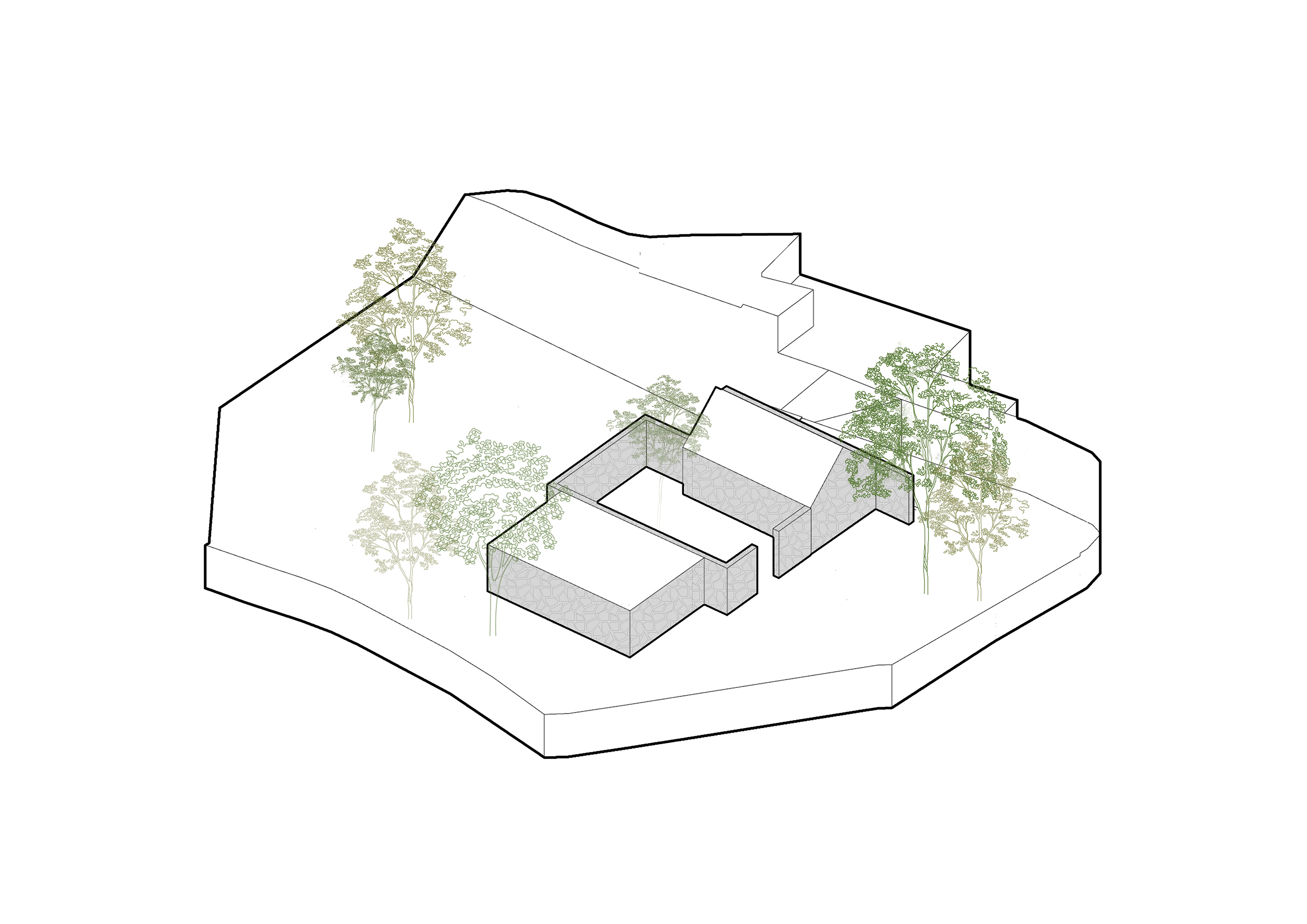 BIM建筑|十二个宅基地的新生：泰安东西门村活化更新 / 孟凡浩-gad · line+ studio