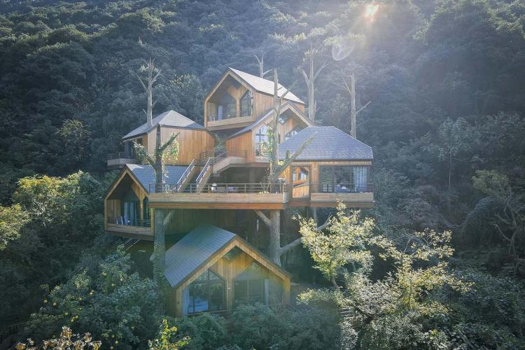 BIM建筑|杭州开元森泊度假酒店“树屋”：簇拥推搡的“小矮人” / 王晖建筑工作室