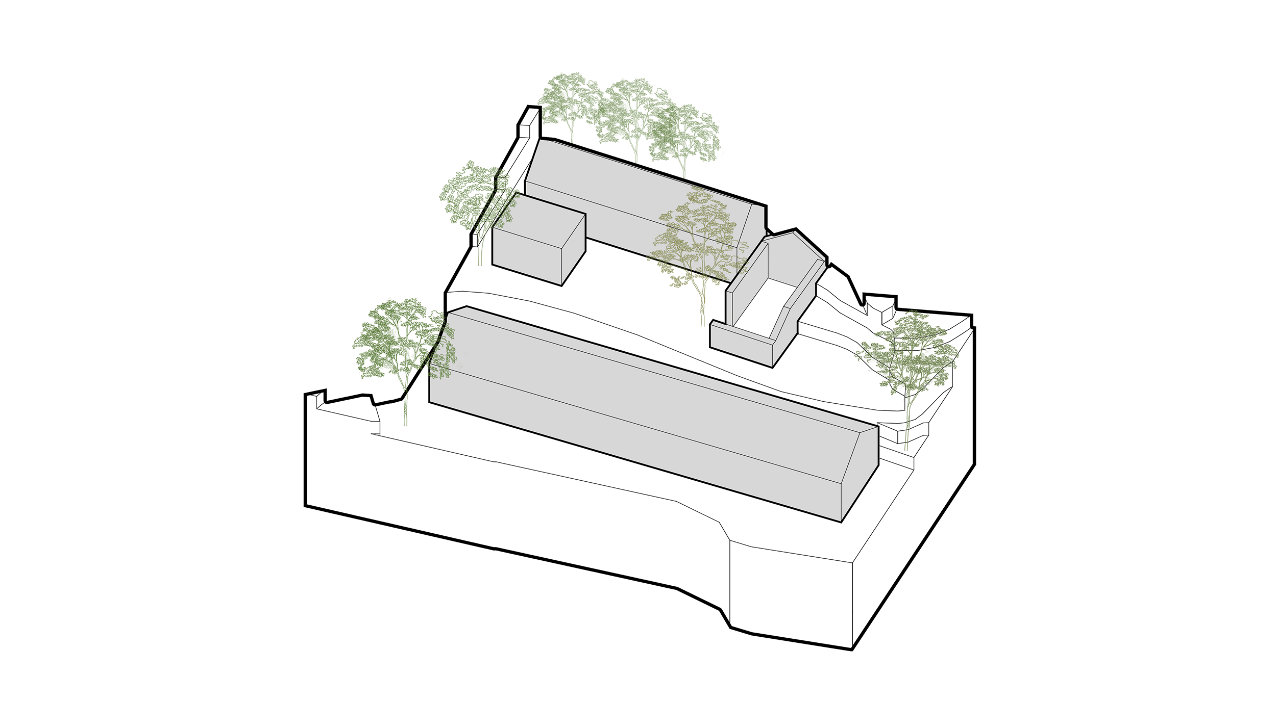 BIM建筑|十二个宅基地的新生：泰安东西门村活化更新 / 孟凡浩-gad · line+ studio