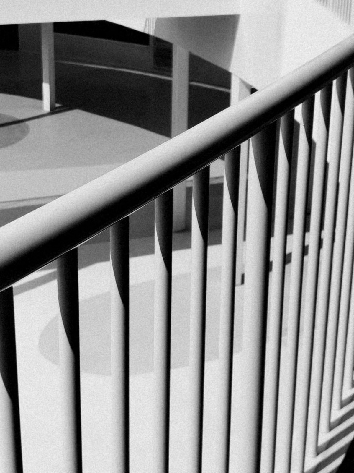 BIM建筑|圣果（誉山国际）幼儿园 / 迪卡幼儿园设计中心