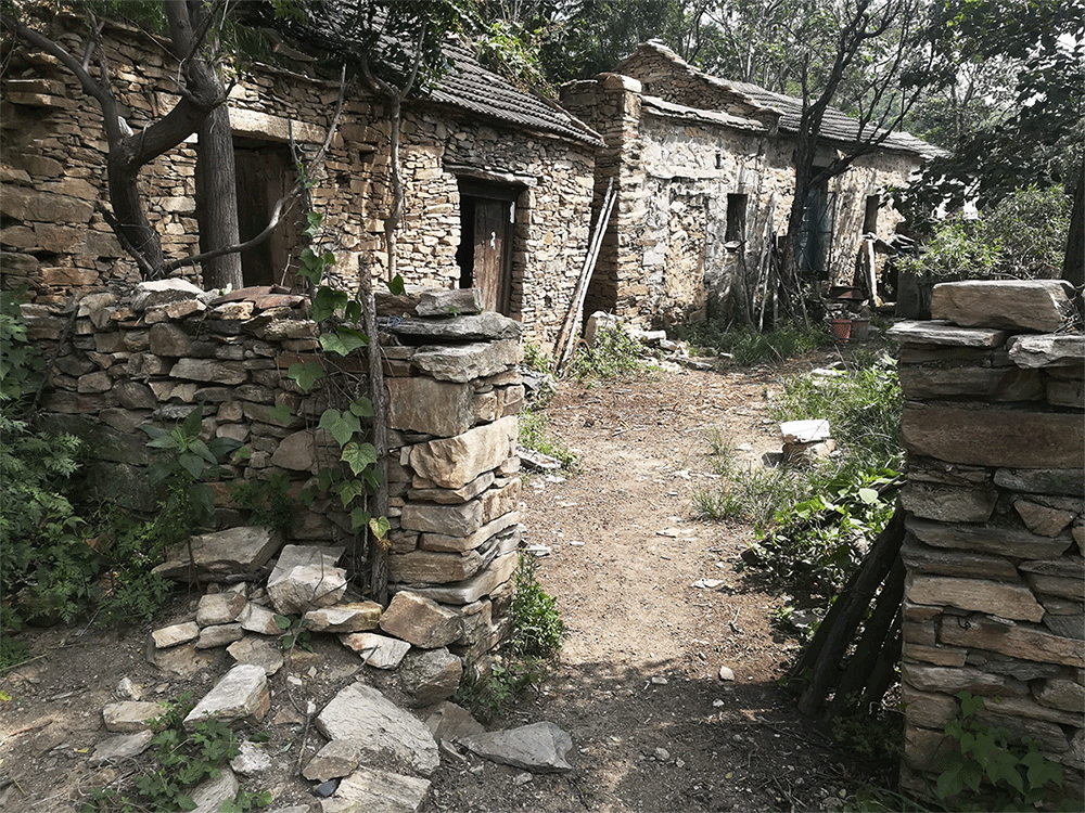 BIM建筑|十二个宅基地的新生：泰安东西门村活化更新 / 孟凡浩-gad · line+ studio